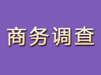 沈陽(yáng)商務(wù)調(diào)查